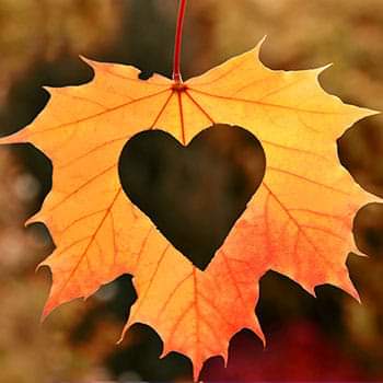 Herfstvakantie